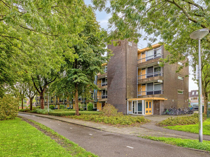 Burgemeester Wapstraat 52