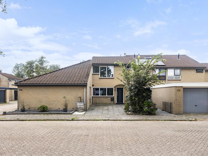 Kobbeflecht 111