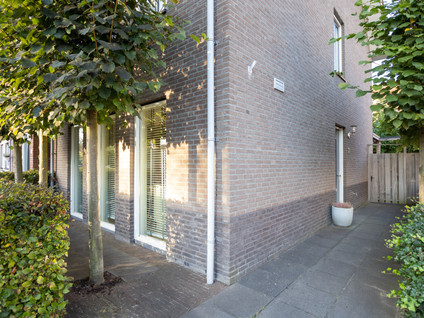 Rietsingel 7
