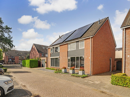 Schutsboom 4
