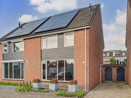 Schutsboom 4