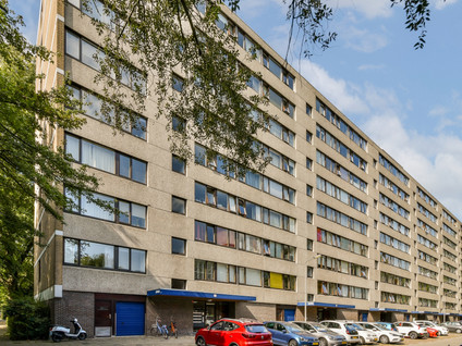 Roland Holstlaan 1118