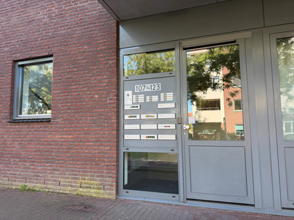 Zomertaling 119