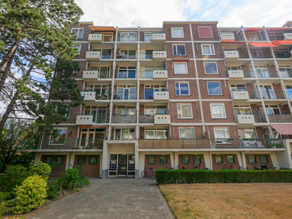 Ranonkelstraat 387