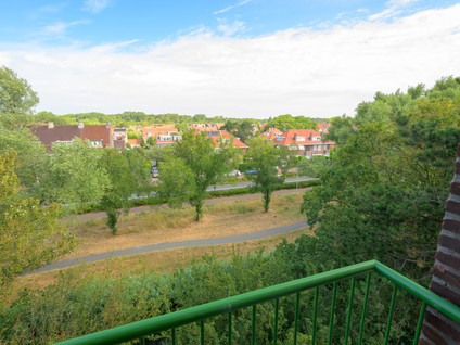 Ranonkelstraat 387