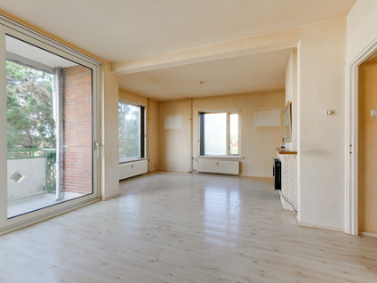 Ranonkelstraat 387