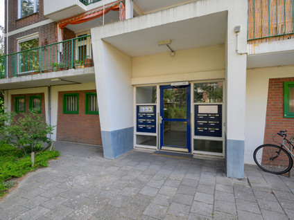 Ranonkelstraat 387