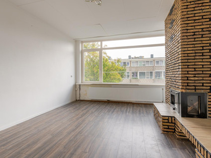 Schere 218