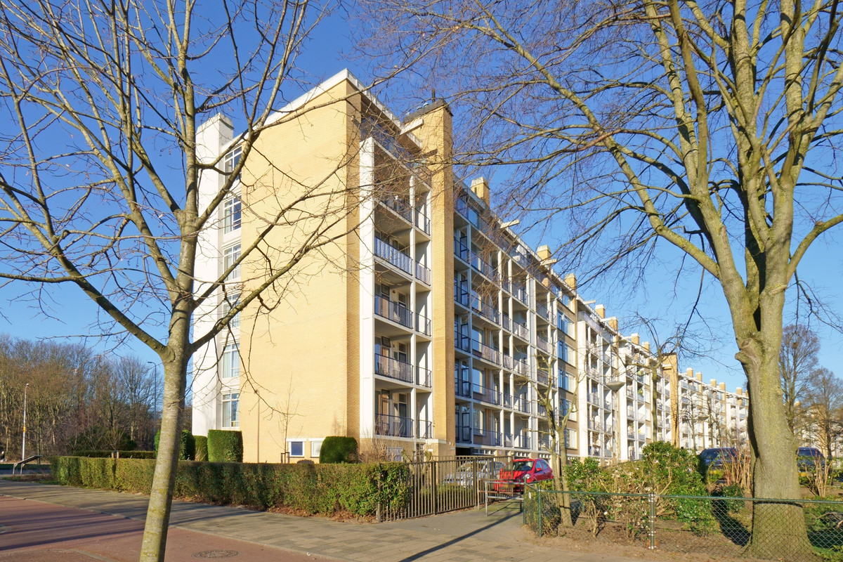 Landréstraat 1013 2551BP 's-Gravenhage, 's-Gravenhage
