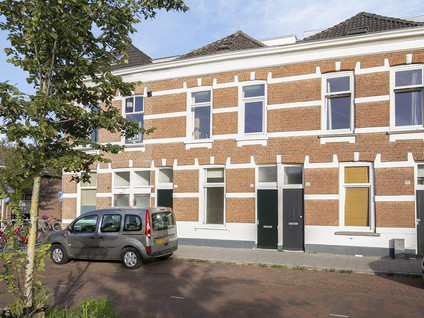 Marksingel 13