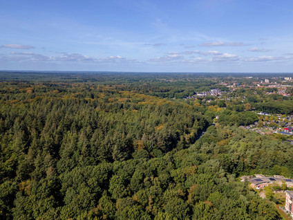 Jacobaweide 14