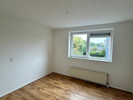 Finnenburg 27