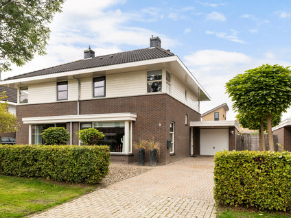 Het Zool 11