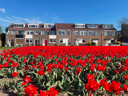 Jozef Beugelsdijkstraat 38