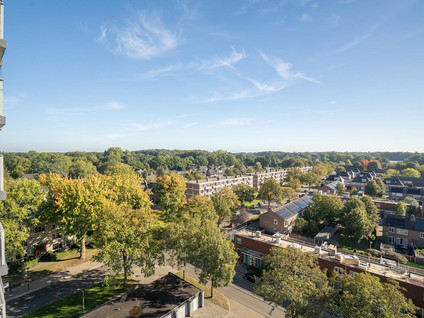 Waalstraat 179