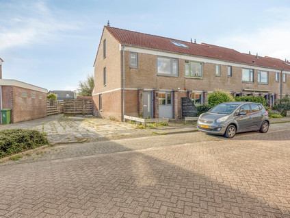 Koekoeksbloem 48