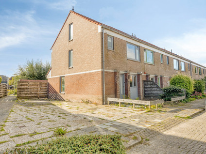 Koekoeksbloem 48