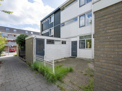 homes for rent on Koraalrif 29