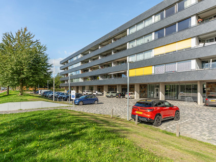 Grootzeil 302