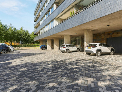 Grootzeil 302