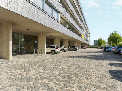 Grootzeil 302