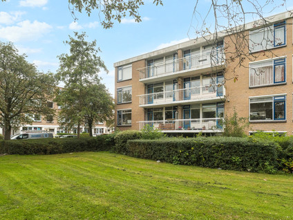 Van der Haertstraat 6