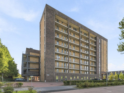 Tempo Doeloestraat 180