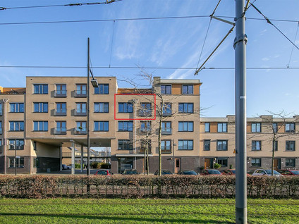 Avenue Carré 210