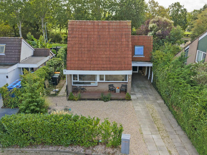Korenbloemstraat 20