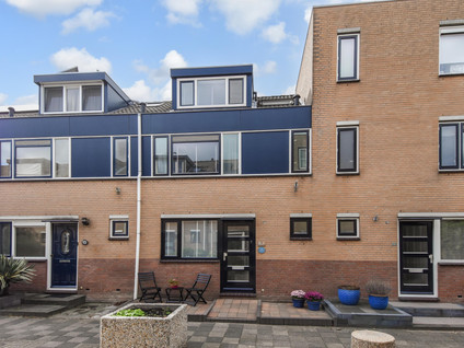Zilvermeeuw 15