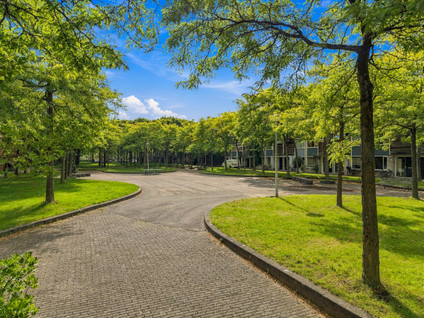 Willebroekstraat 40