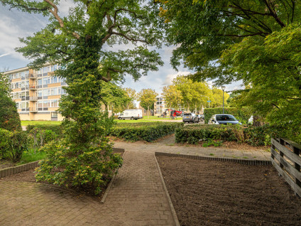 Voorvang 4