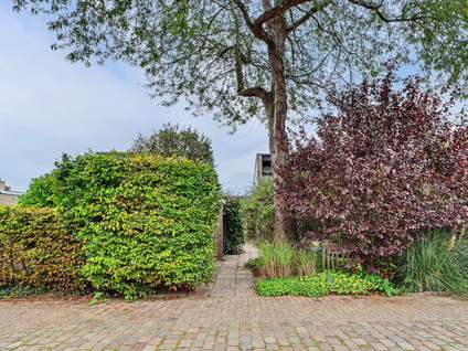 Buizerdstraat 12