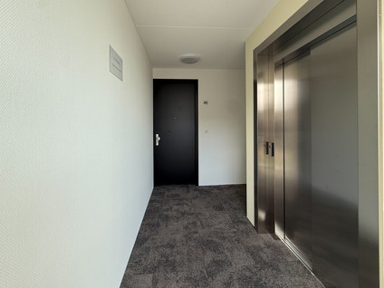 Diezestraat 46