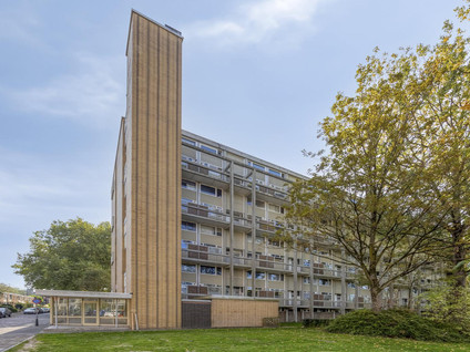 Van Bosseplantsoen 126