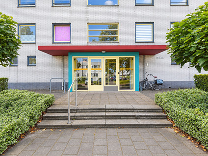 Mosgroen 93