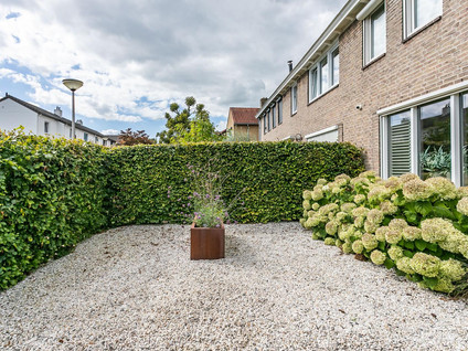 Korteweg 4