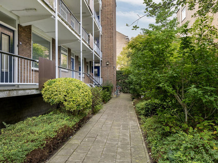 Hoekersingel 35