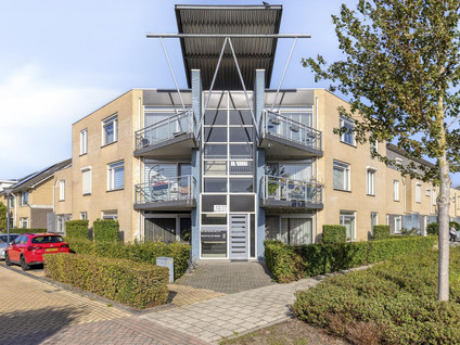 Muntmeester 79