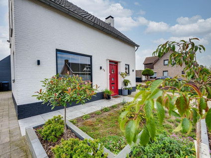 Rugstraat 63