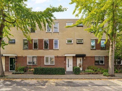 Korenbloem 24