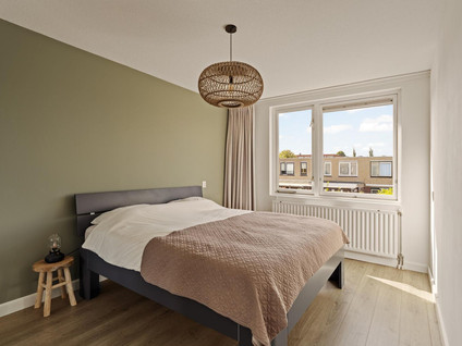 Korenbloem 24