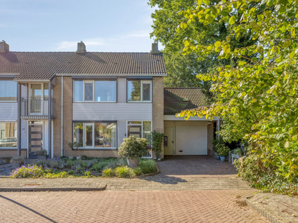 Lijsterstraat 19