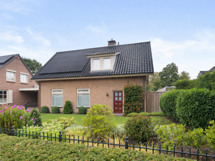 Boekweitveld 3