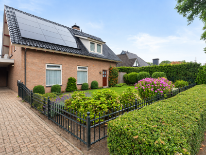 Boekweitveld 3