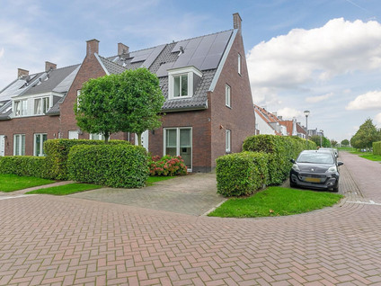 Goudrenet 19