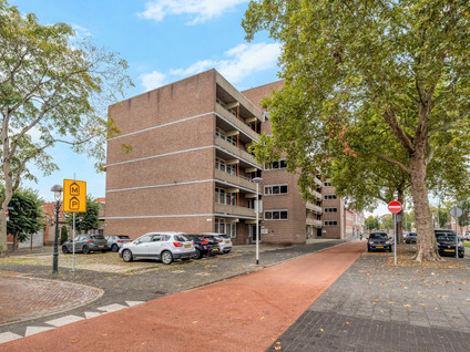 Noordsingel 142