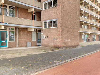 Noordsingel 142