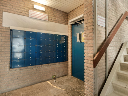 Noordsingel 142
