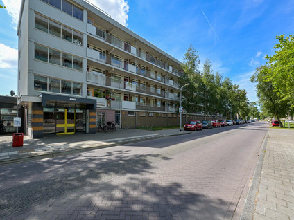 Zilverschoonlaan 114